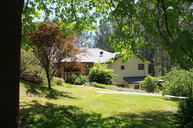Fernglade on Menzies - Photo3