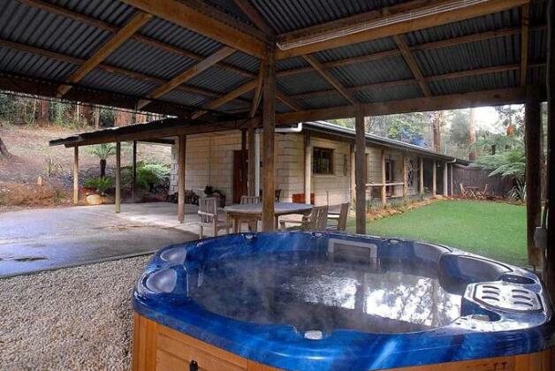 Fernglen Forest Retreat - Photo4