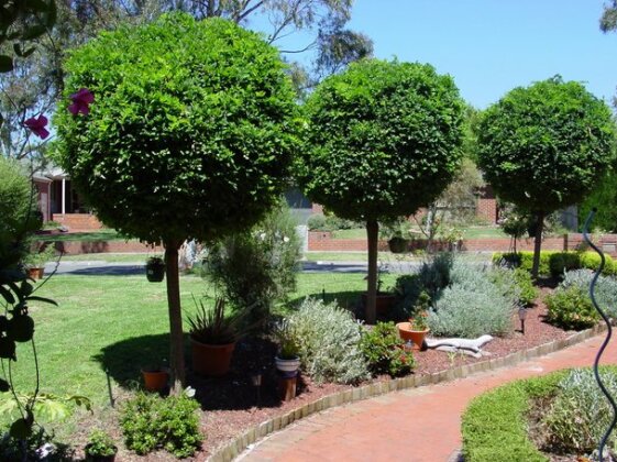Homestay - Ideal setting for Uni Students - Photo2