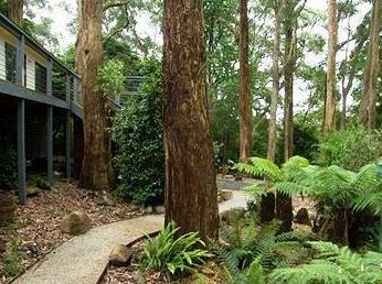 Wild Patch Retreat Melbourne - Photo3