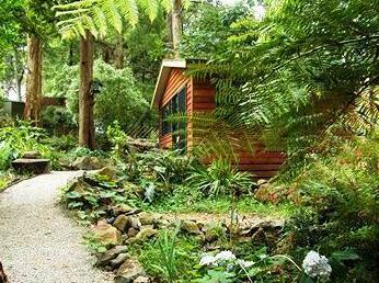 Wild Patch Retreat Melbourne - Photo4
