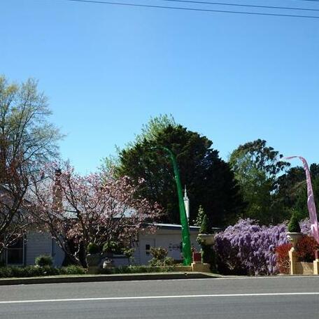 Bowral Road Bed and Breakfast - Photo3