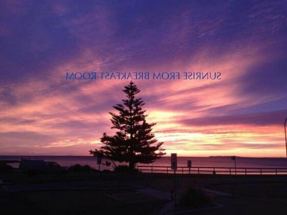 The Seaside Beachhouse Mollymook - Photo2