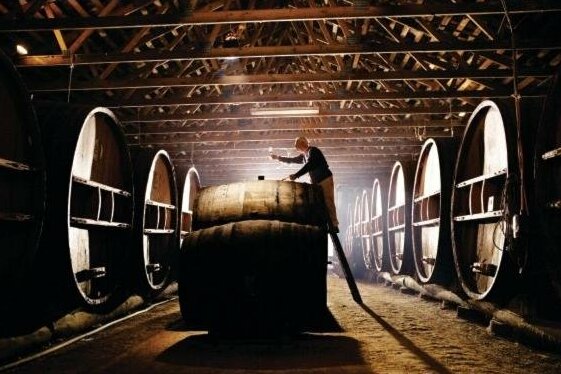 Pieter van Gent Winery & Vineyard - Photo2