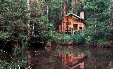 Woodlands Rainforest Retreat