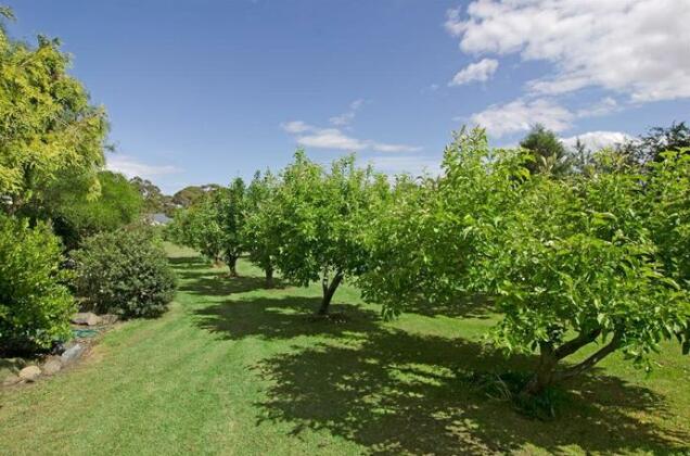 Orford's Sanda House B&B - Photo4