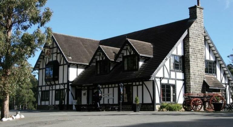 Fox and Hounds Inn Port Arthur