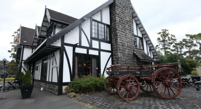 Fox and Hounds Inn Port Arthur - Photo2