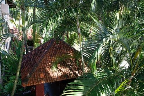 Hibiscus Resort And Spa - Photo3