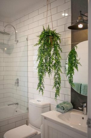 Pandanus Cottage - Photo4