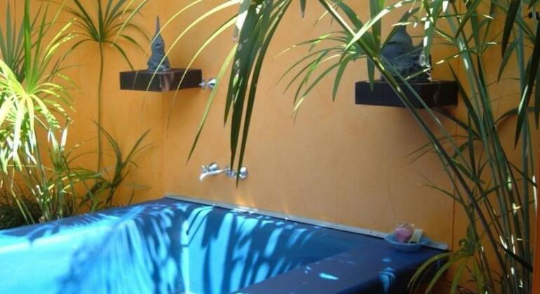 Pink Flamingo Resort - Photo4