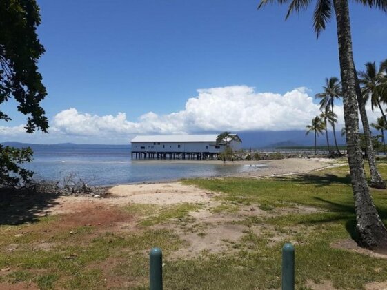 Wandering Palms - Photo5