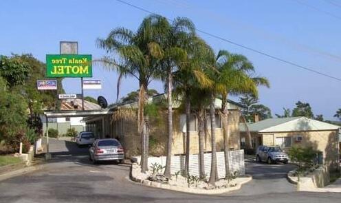 Koala Tree Motel - Photo2
