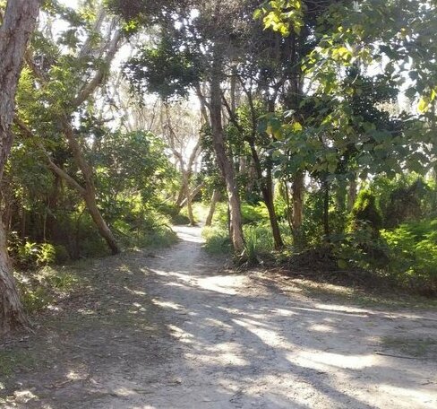 The Island Shack - Photo2