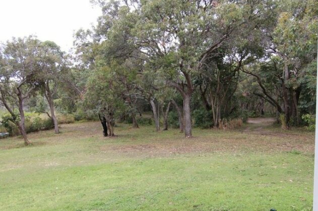 Whispering Trees - Photo4