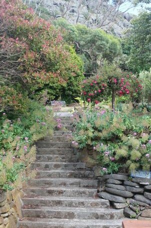 Gardenia House Stanley - Photo5