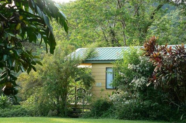 Daintree Valley Haven - Photo2