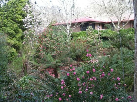 Adelaide Hills Bed & Breakfast Accommodation - Photo2