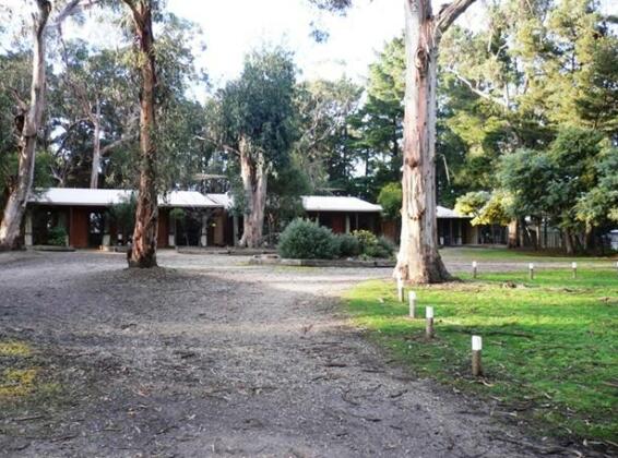 Koala Park Resort - Photo3