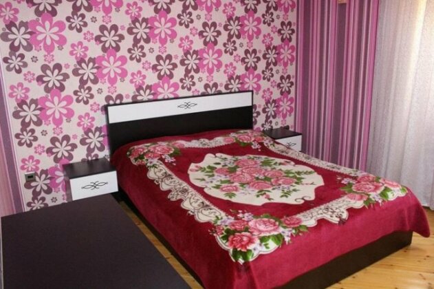Gabala Karvansaray Villa - Photo4