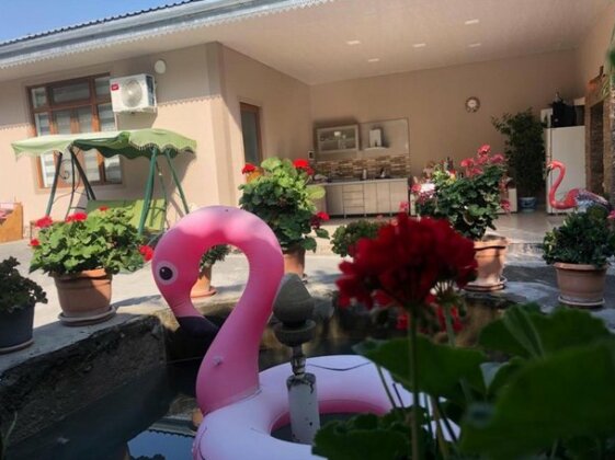 Friends House Shaki - Photo4
