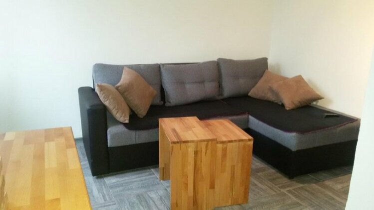 Apartment Andje Knezevic - Photo2