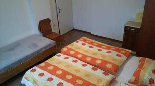 Apartment Andje Knezevic - Photo3