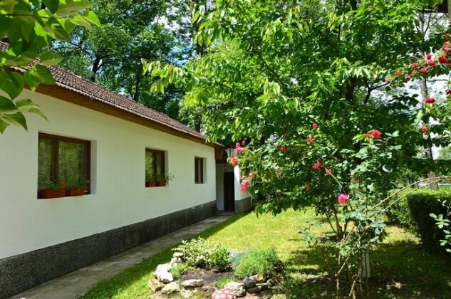 Hostel Una Rosa - Photo5