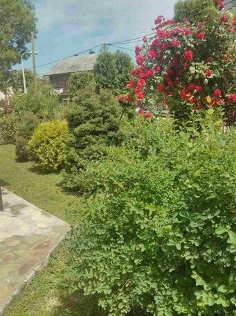 House Leyla - Photo3