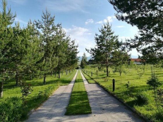 Weekend House Livno - Photo5