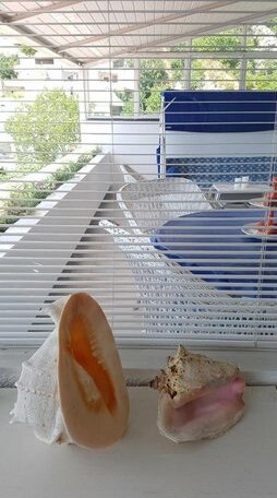 Neum Beach Apartment - Photo3