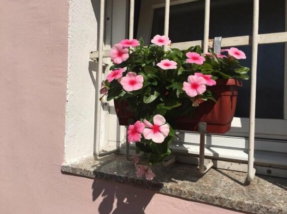 Apartman Hana Sarajevo - Photo4