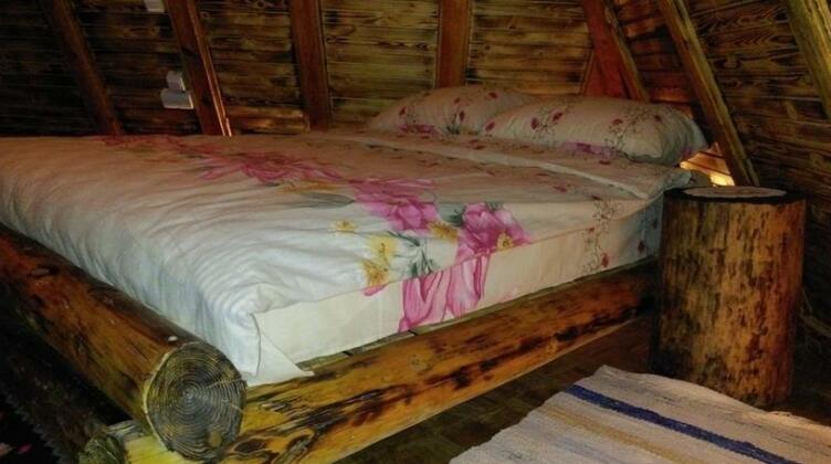 Brvnare Dolic - Photo3