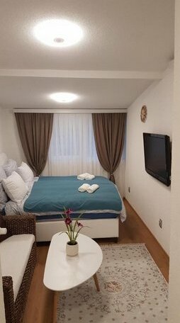 Dino Sarajevo - Photo2