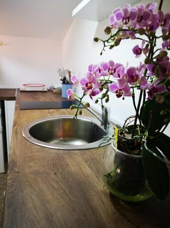 Family apartment with garden - Photo5