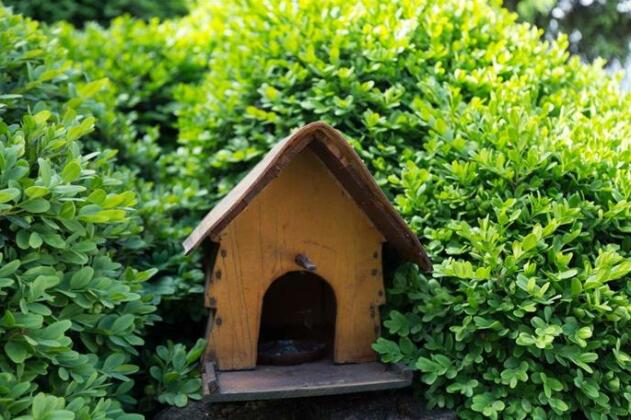 Guest House Simsir - Photo3