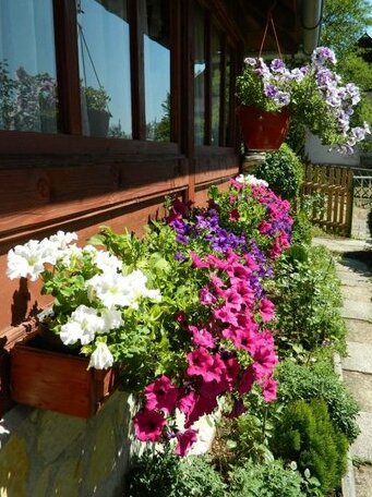 Guesthouse Sadrvan Ravne - Photo4