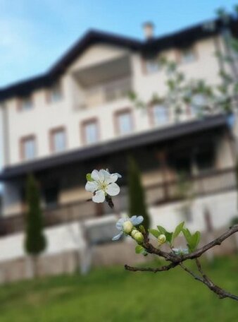 Hany Villa - Photo3