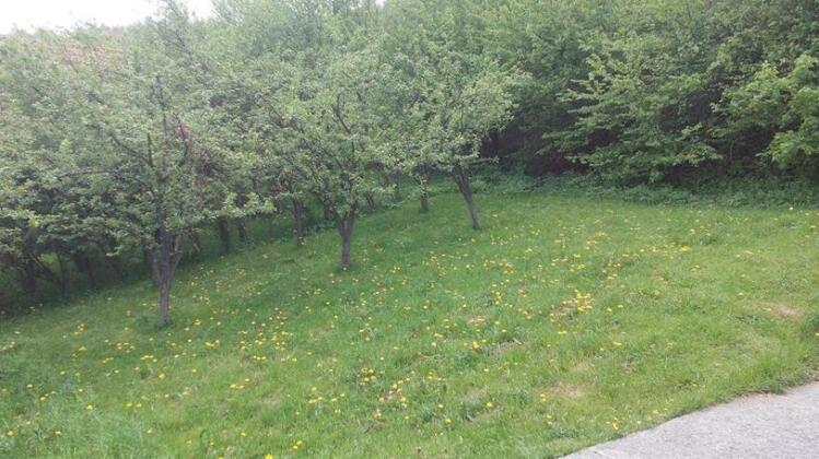 Holiday Home Nature - Photo4