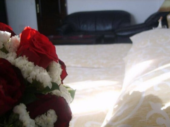 Motel Boss - Photo4