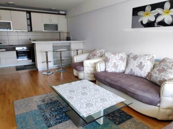 Sarajevo Apartment Ilidza - Photo4