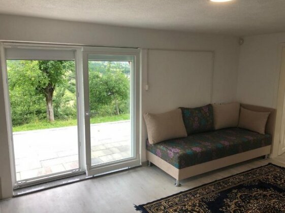Villa in Sarajevo Ilijas - Photo4