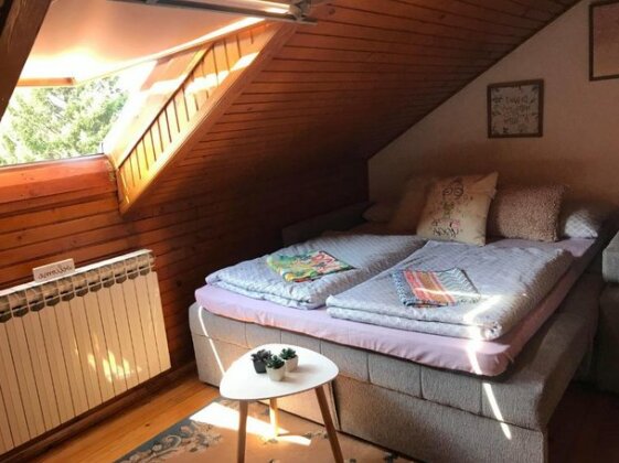 Villa Irena Sarajevo - Photo3