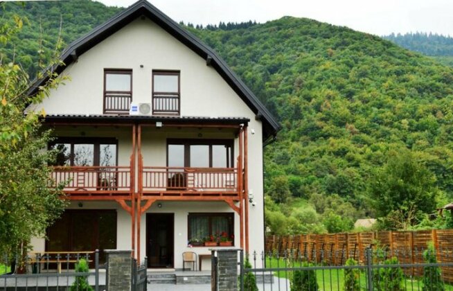 Villa Vrelo Bosne - Photo2