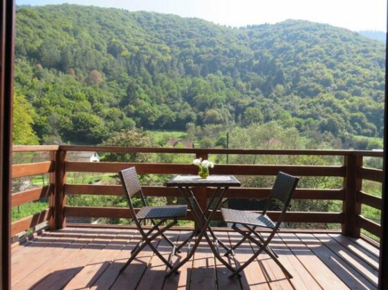 Villa Vrelo Bosne - Photo3