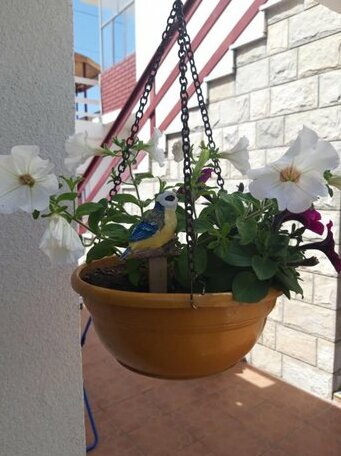 Hajdi apartman - Photo2