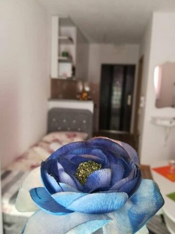 Studio Apartman ZENICA - Photo3