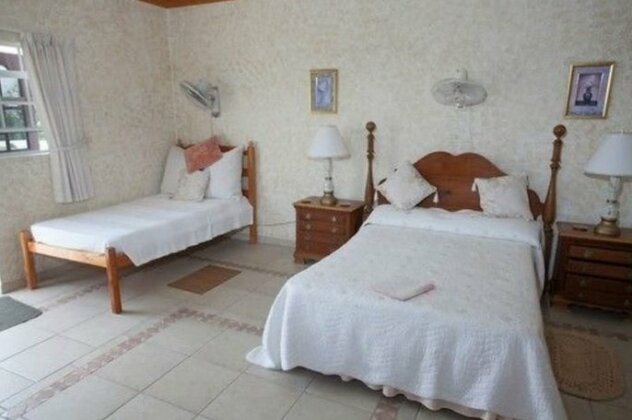 Palm Paradise Guest House and Apartments - Photo2