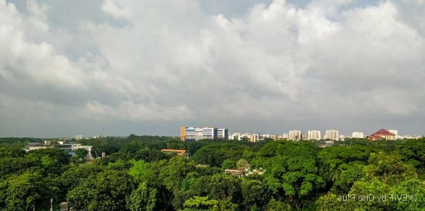 Eye's View in Frame - Photo3