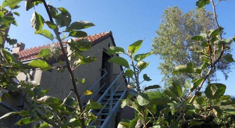 'T Valkennestje - Photo2